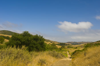 Irvine Open Space Preserve