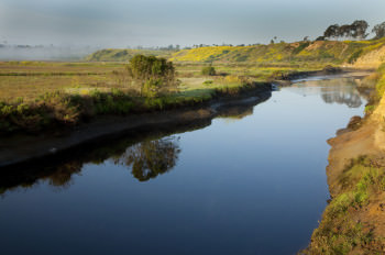 Upper Newport Bay