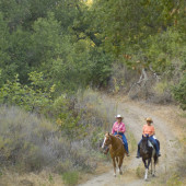 Wilderness Access Day: Limestone Canyon, Equestrian