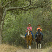 Equestrian Ride in Weir Canyon