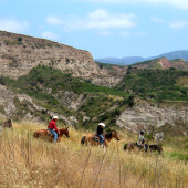 The Lure and Lull of Limestone Canyon and The Sinks: Equestrian Ride