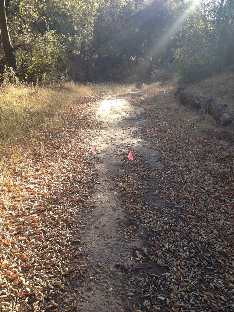 Trail Planting in Limestone Canyon - Irvine Ranch Natural Landmarks