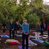 Meditative Yoga and Meadow Walk