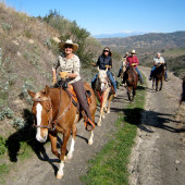 Equestrian Ride: Exploring the Natural Wonders of Weir Canyon and the Overlook Trail