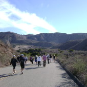 Tuesday Morning Fitness Hike on Paved Hicks Haul Road