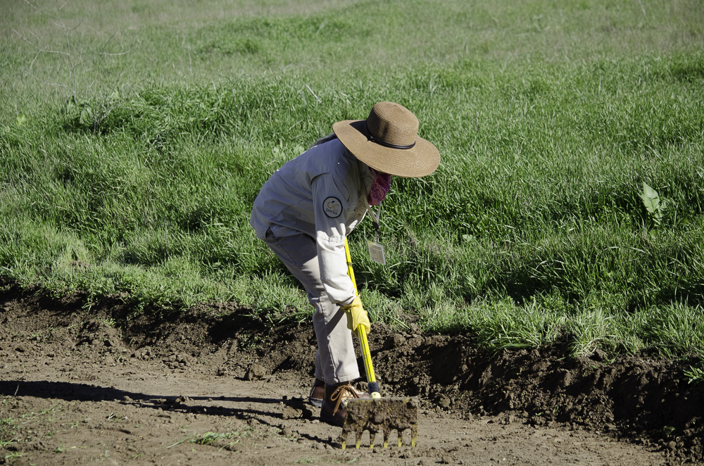 Soil Sculpting at Orchard Hills - Irvine Ranch Natural Landmarks