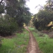 CANCELLED due to Fire Weather: Give Back and Enjoy the Beauty: Dripping Springs