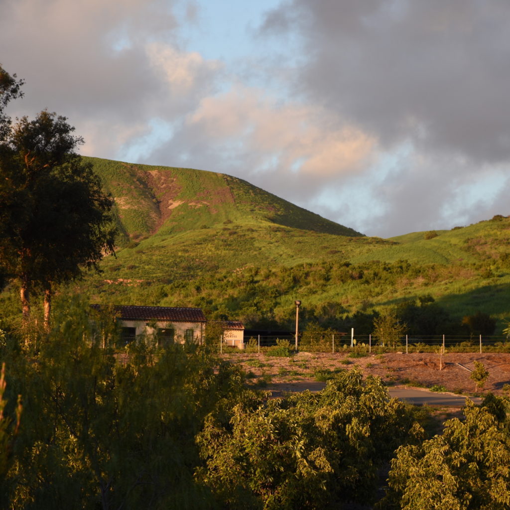 Orchard Hills Evening Hike Irvine Ranch Natural Landmarks