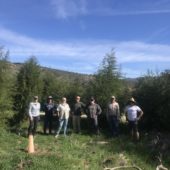 Tecate Cypress Stewardship Day