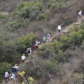 Fitness Hike – Ridge Park