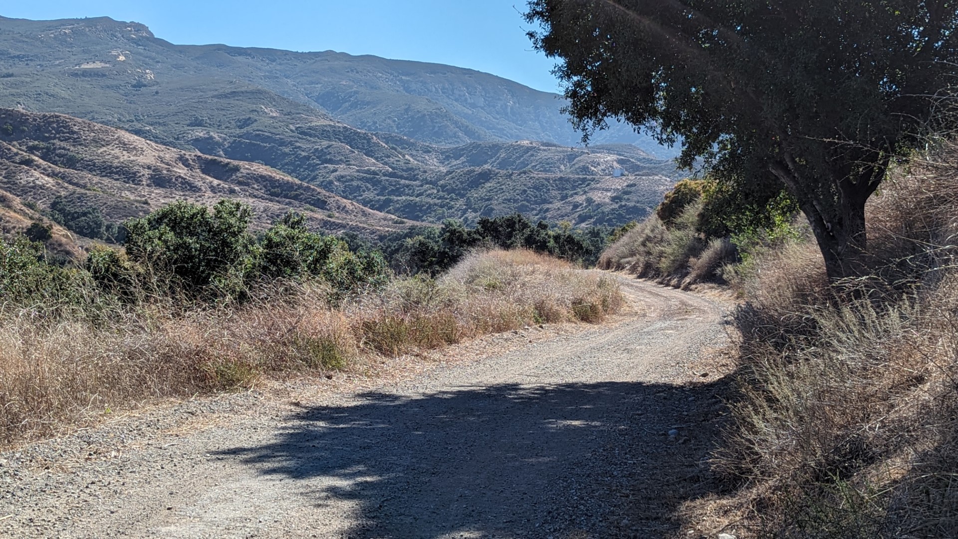 Intermediate Trail Run in Gypsum Canyon - Irvine Ranch Natural Landmarks